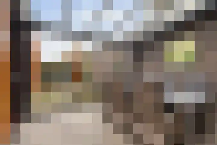 Polstraat 1 f Didam thumbnail 21