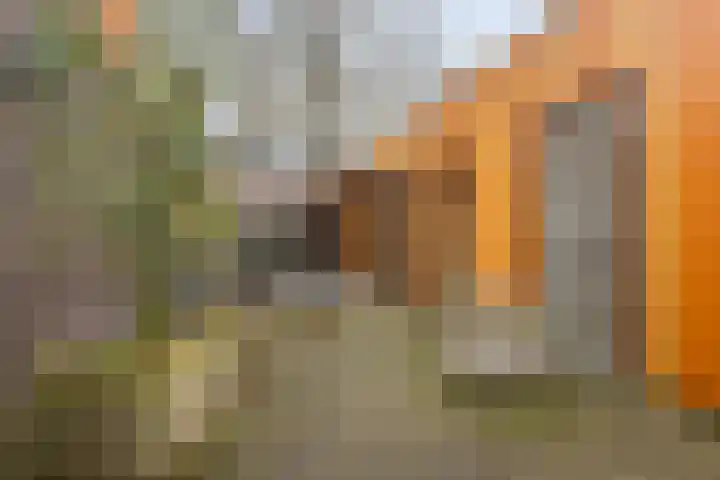 Polstraat 1 f Didam thumbnail 23