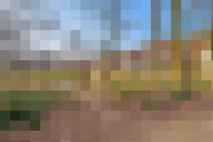 Polstraat 1 f Didam thumbnail 25