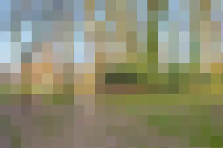 Polstraat 1 f Didam thumbnail 26