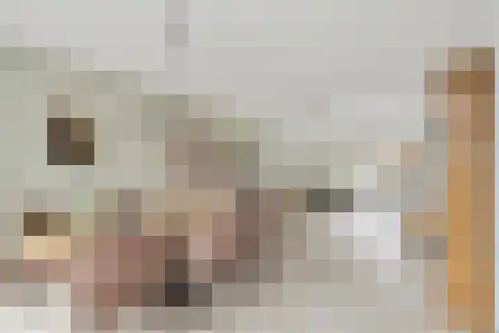 Polstraat 1 f Didam thumbnail 5