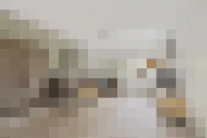 Polstraat 1 f Didam thumbnail 6