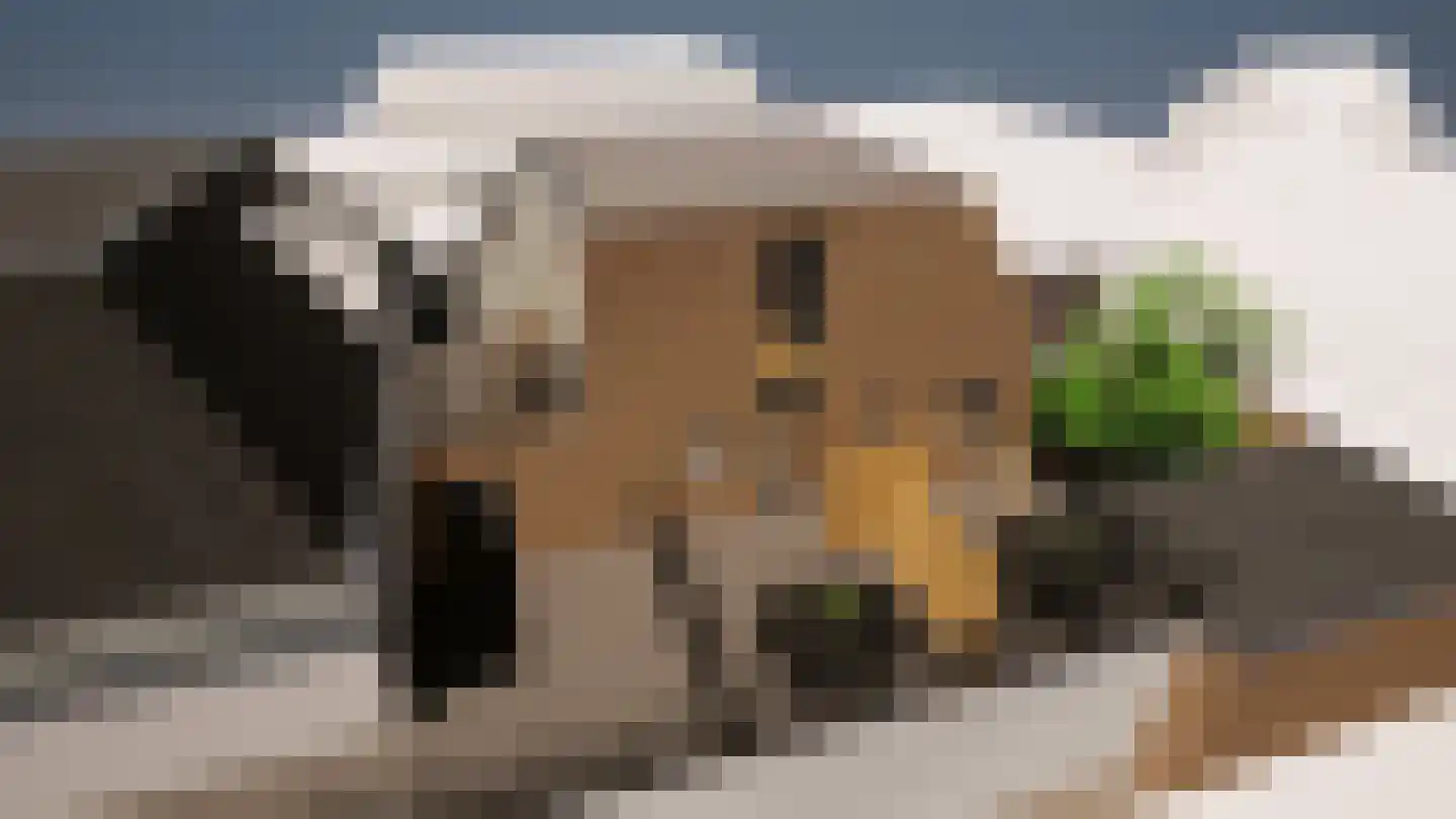 Polstraat 15 A Dinxperlo thumbnail 4