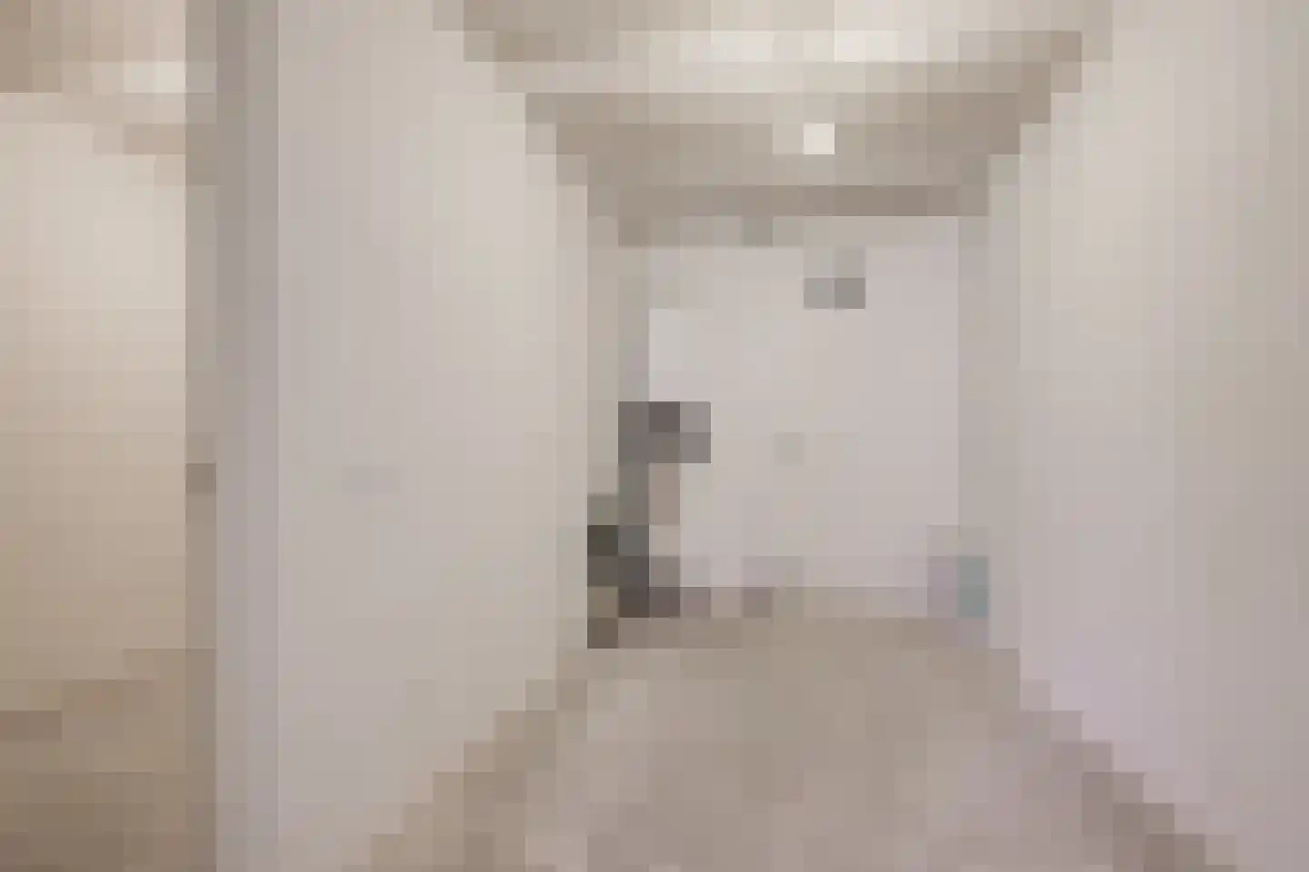 Polstraat 15 Dinxperlo thumbnail 29