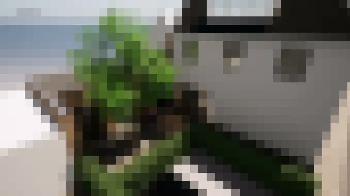 Polstraat 15 Dinxperlo thumbnail 34