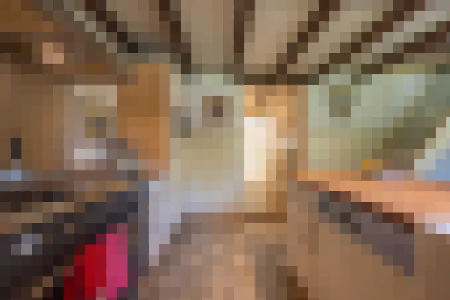 Polstraat 20 Dreumel thumbnail 11