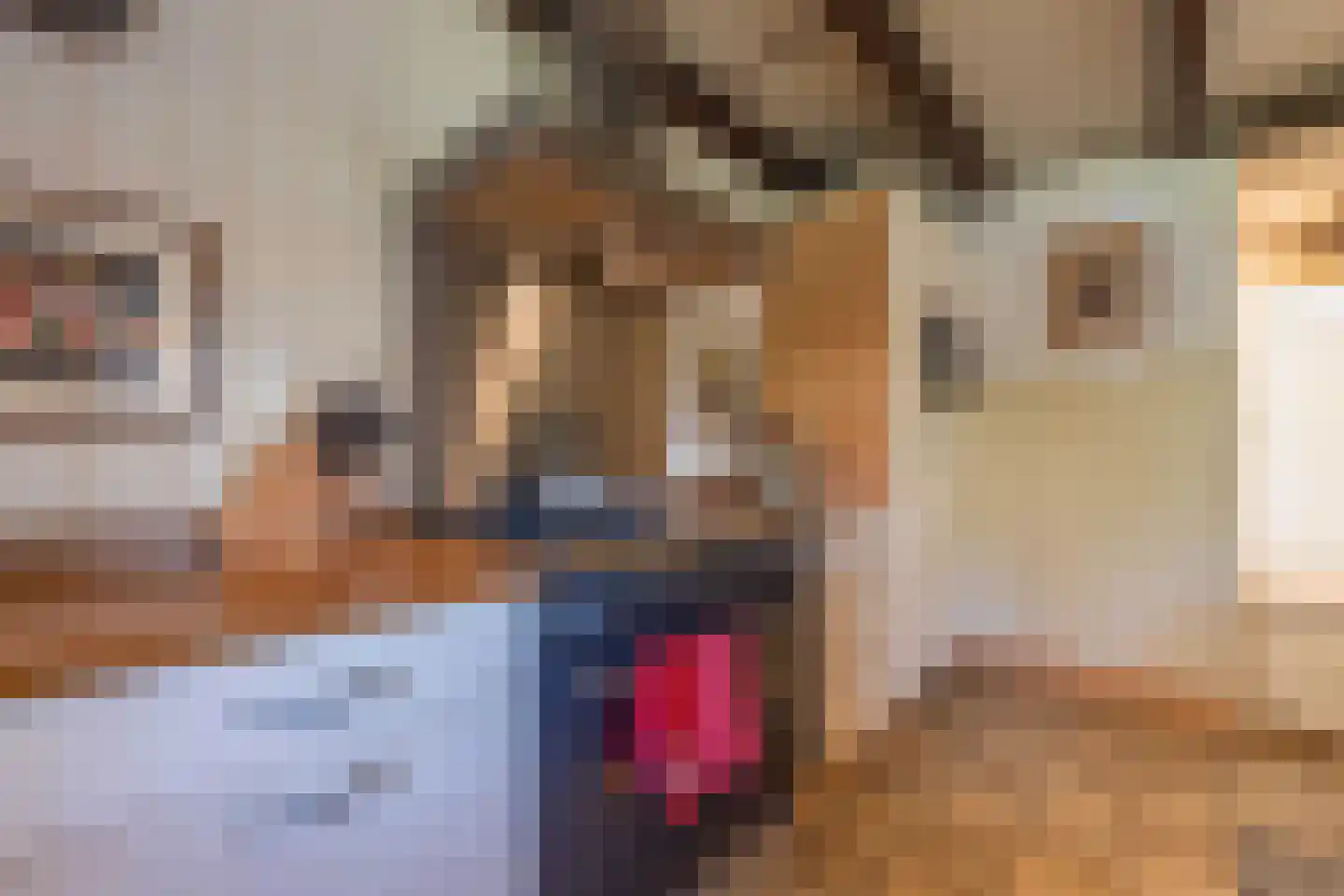 Polstraat 20 Dreumel thumbnail 14