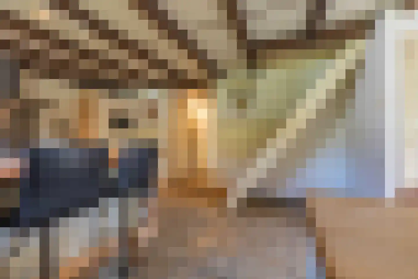 Polstraat 20 Dreumel thumbnail 19