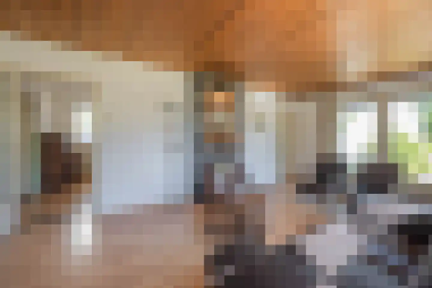 Polstraat 20 Dreumel thumbnail 29