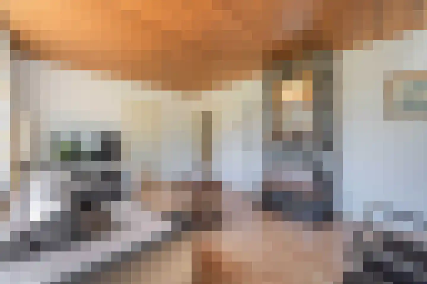 Polstraat 20 Dreumel thumbnail 30