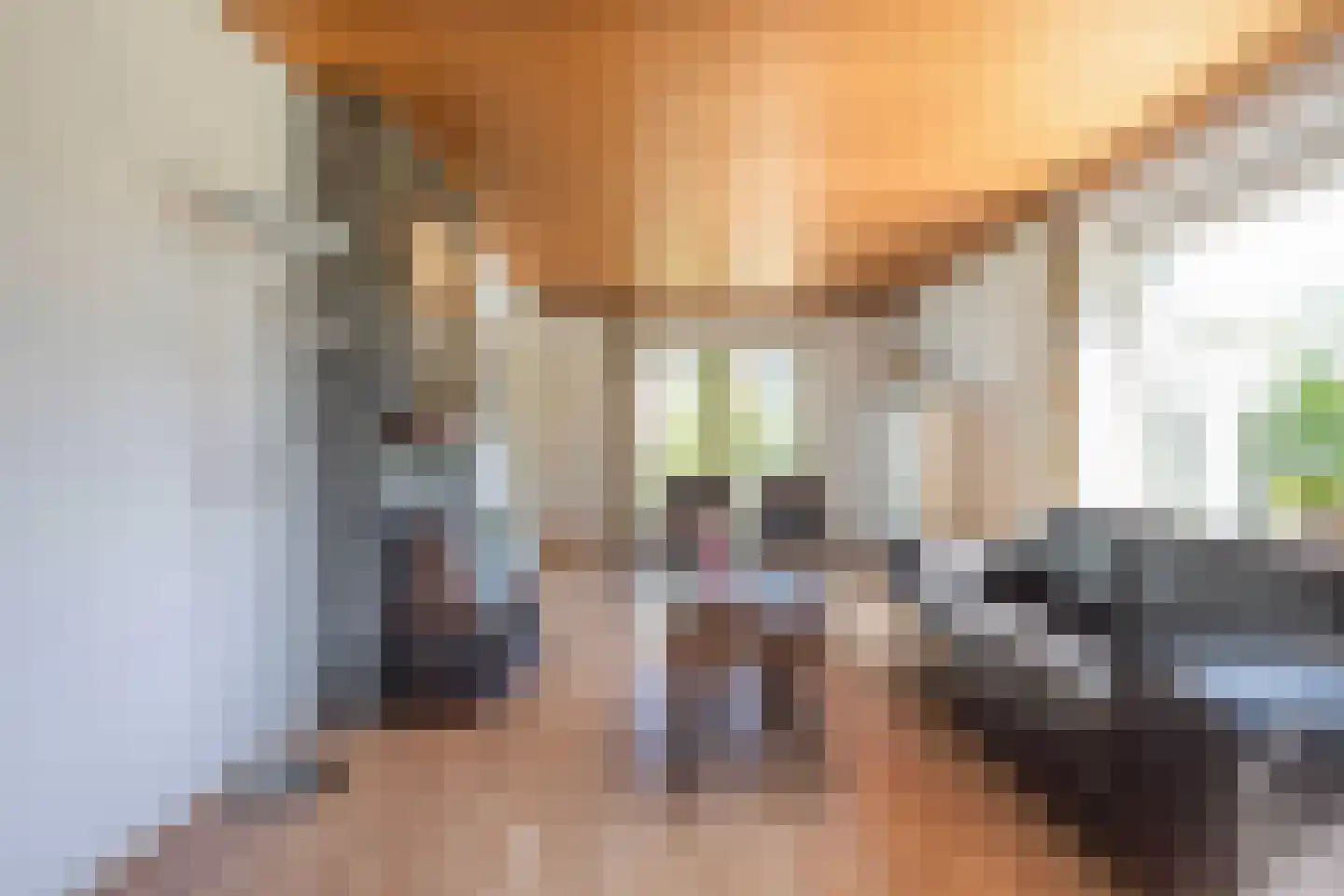 Polstraat 20 Dreumel thumbnail 31