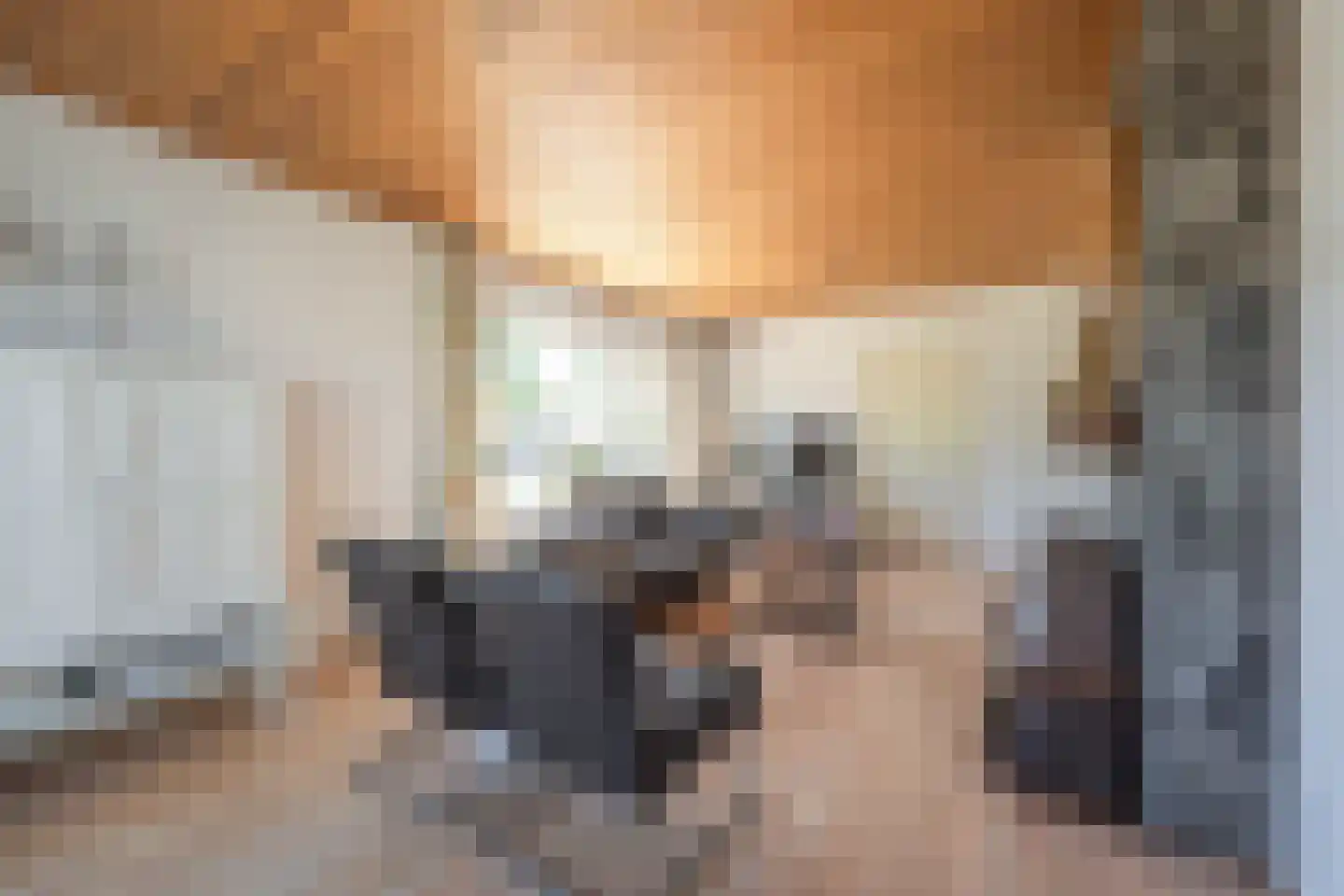 Polstraat 20 Dreumel thumbnail 32