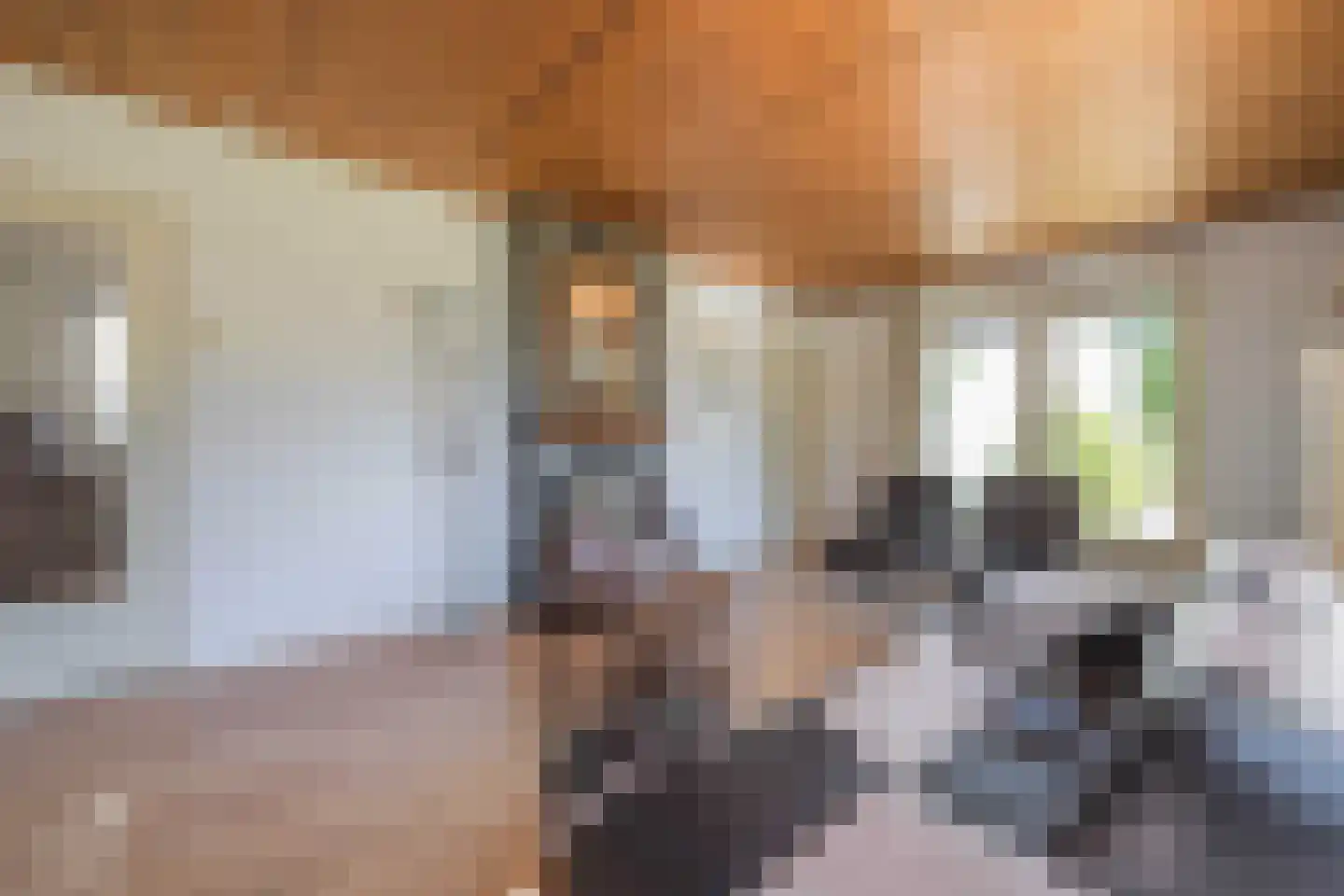 Polstraat 20 Dreumel thumbnail 34