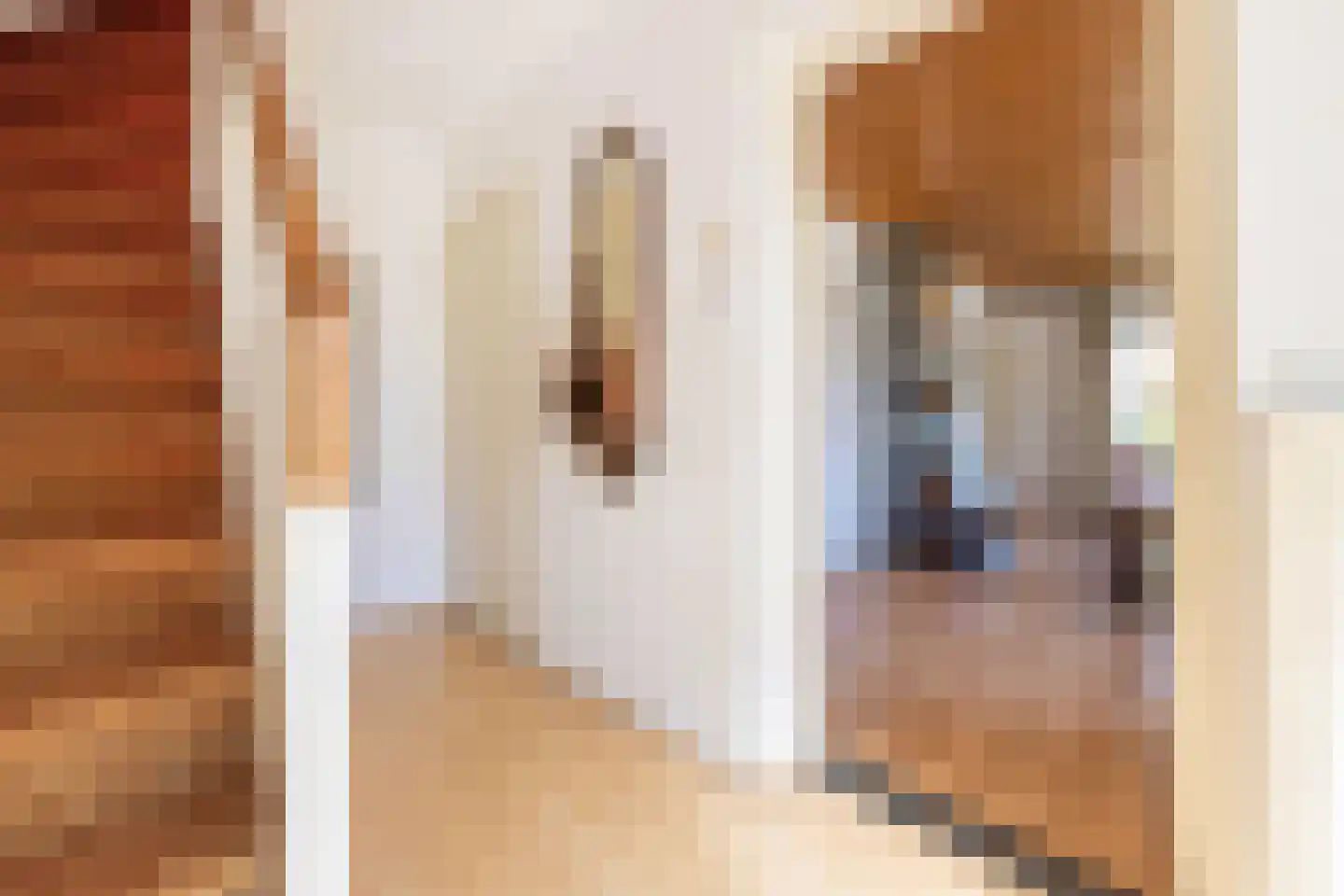 Polstraat 20 Dreumel thumbnail 38