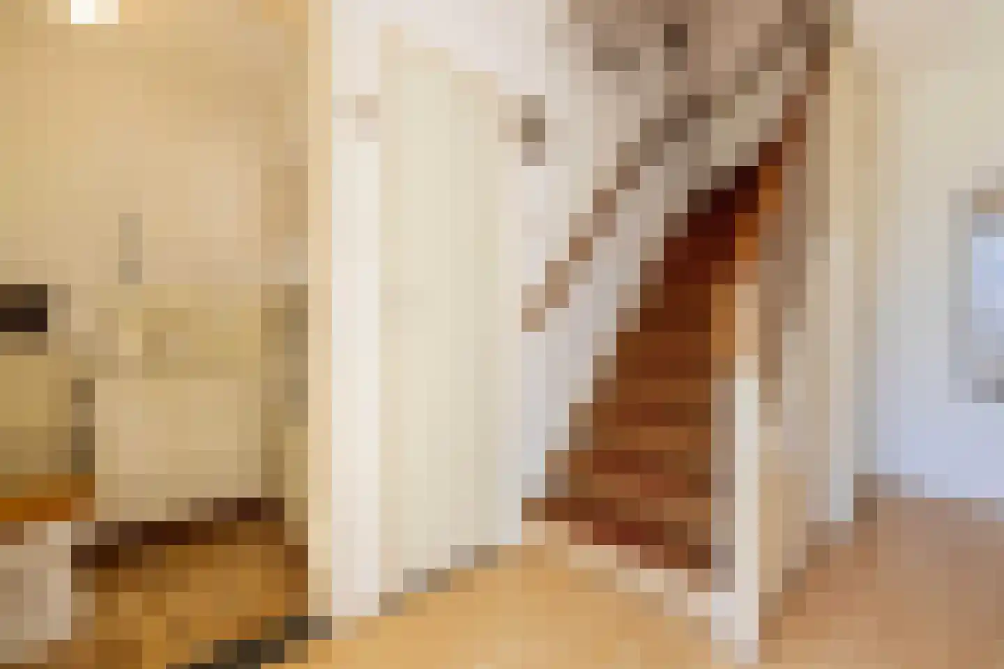 Polstraat 20 Dreumel thumbnail 39