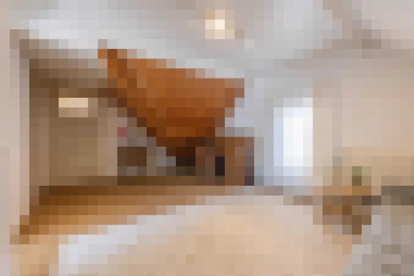 Polstraat 20 Dreumel thumbnail 42