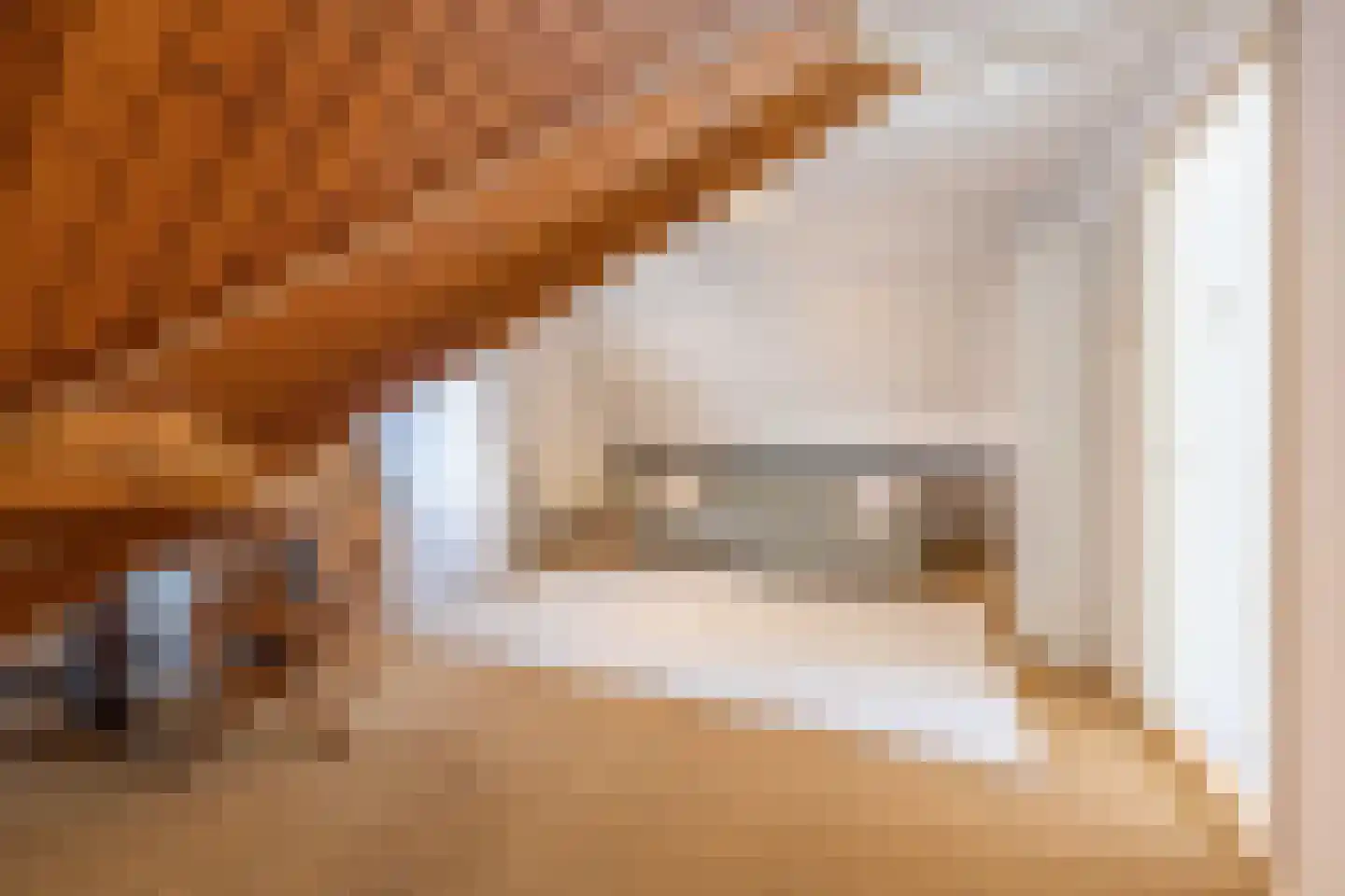 Polstraat 20 Dreumel thumbnail 43