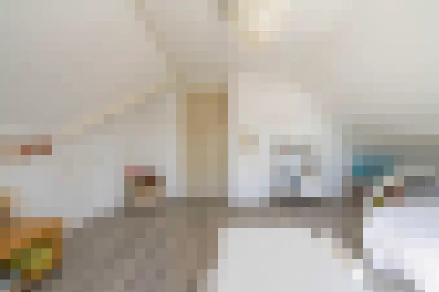 Polstraat 20 Dreumel thumbnail 46