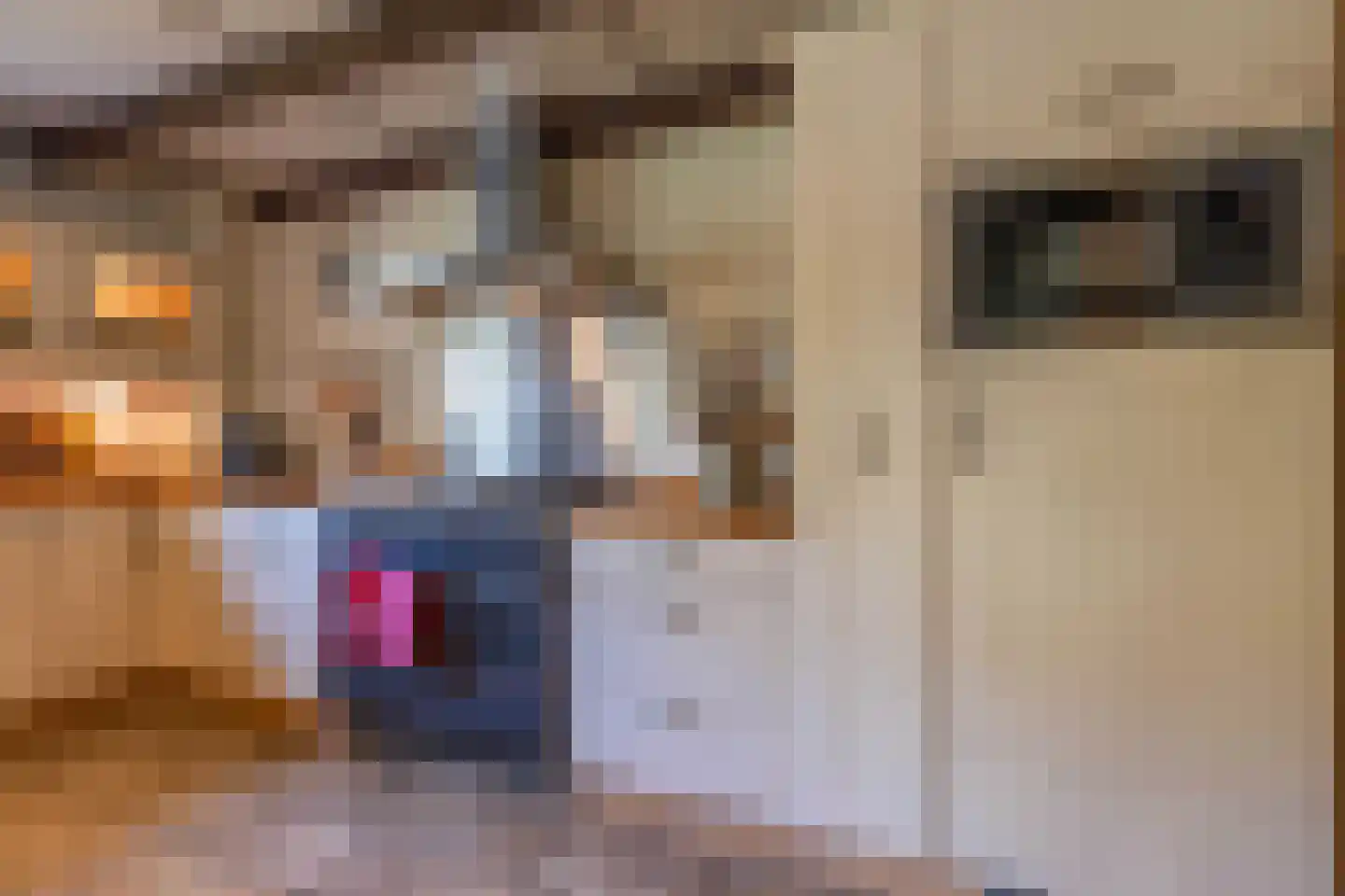 Polstraat 20 Dreumel thumbnail 6