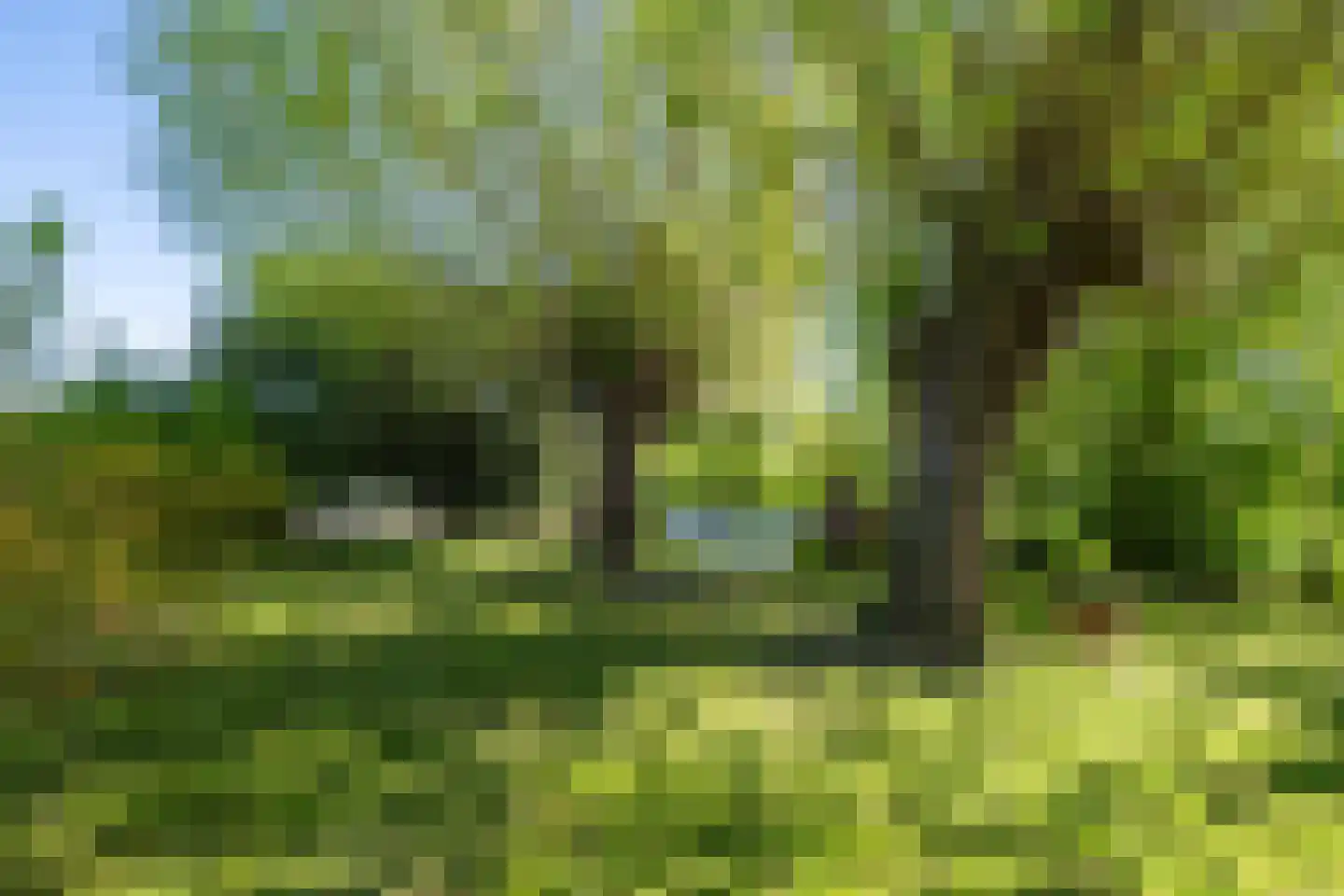 Polstraat 20 Dreumel thumbnail 61