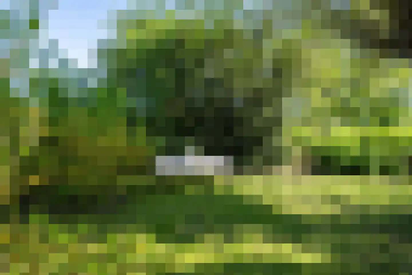Polstraat 20 Dreumel thumbnail 62