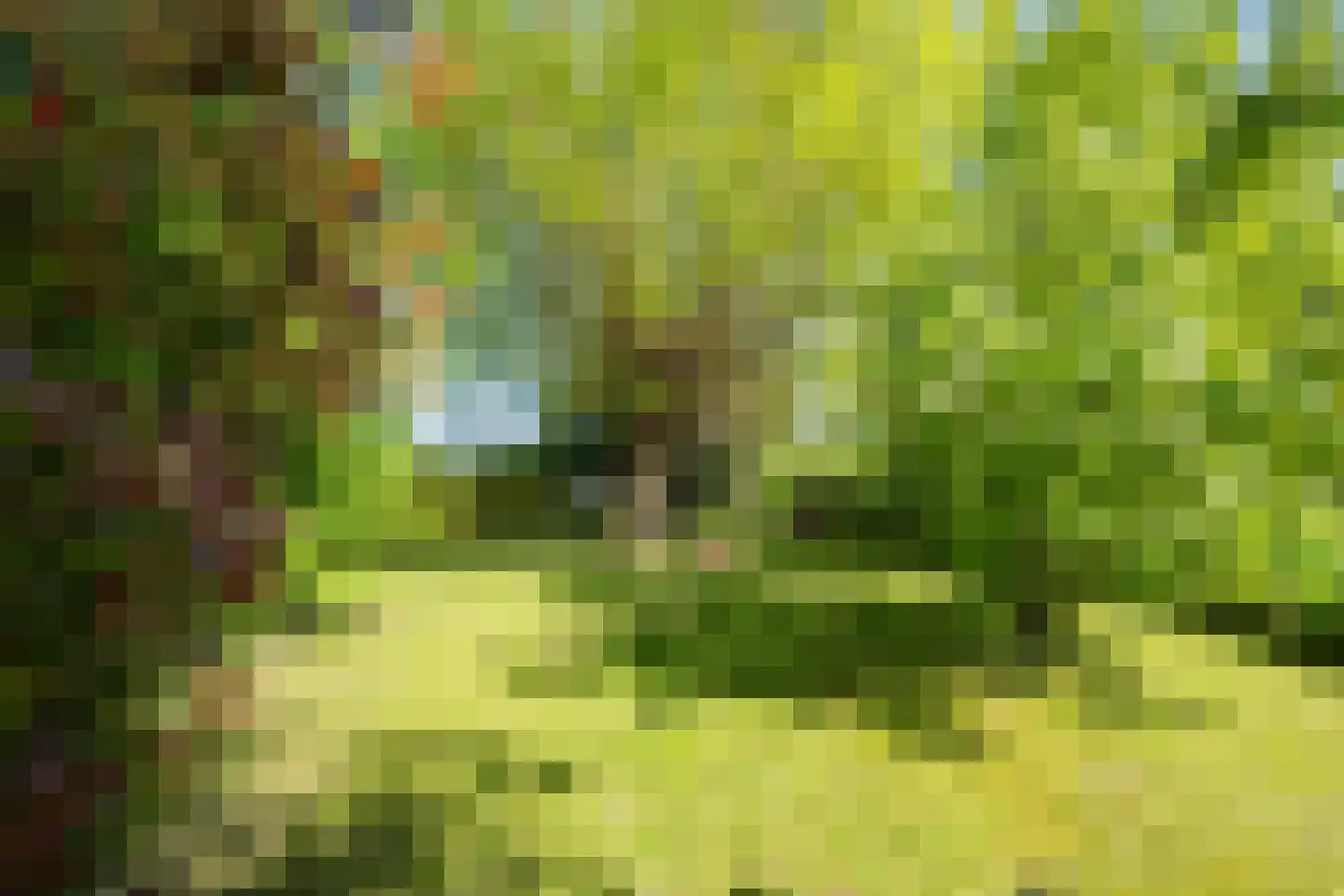 Polstraat 20 Dreumel thumbnail 64