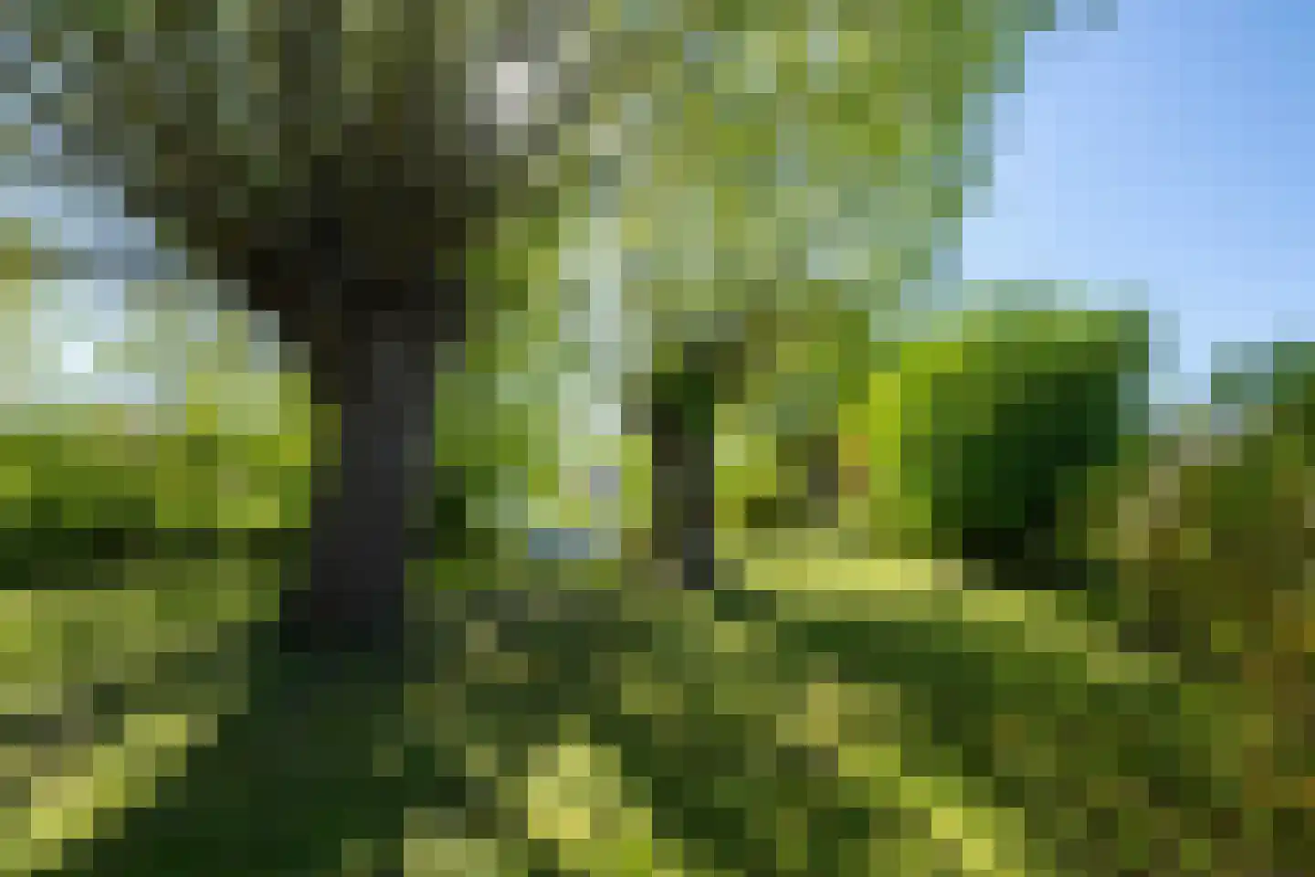 Polstraat 20 Dreumel thumbnail 65
