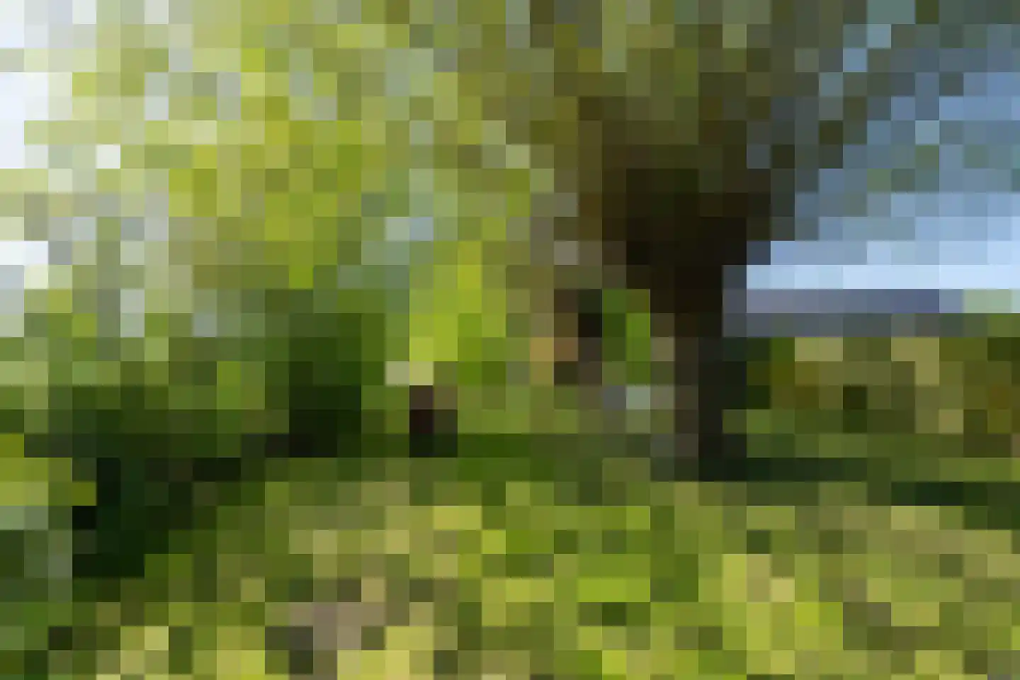Polstraat 20 Dreumel thumbnail 66