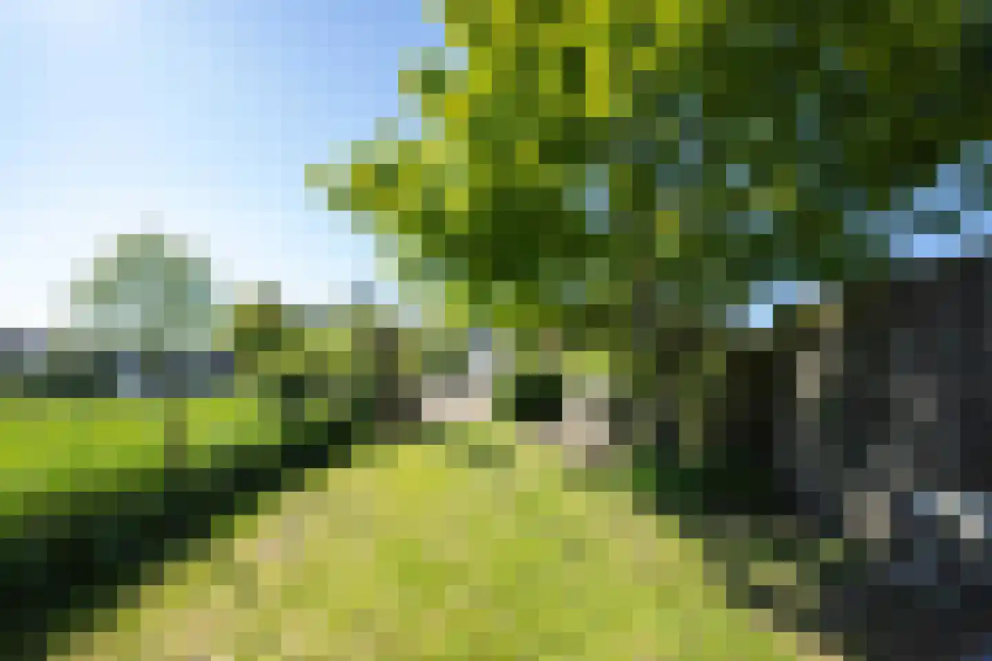 Polstraat 20 Dreumel thumbnail 68