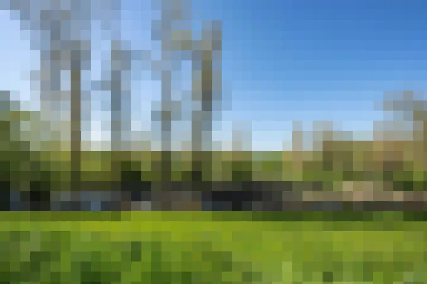 Polstraat 20 Dreumel thumbnail 78
