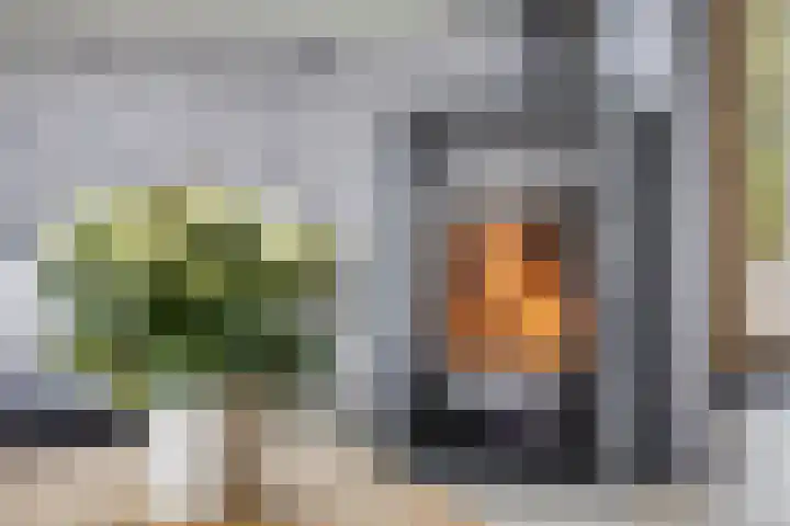 Polstraat 21 Dreumel thumbnail 10
