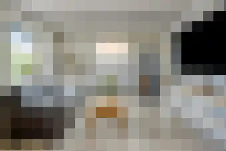 Polstraat 21 Dreumel thumbnail 11