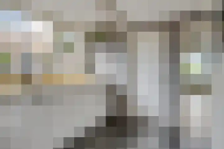 Polstraat 21 Dreumel thumbnail 15