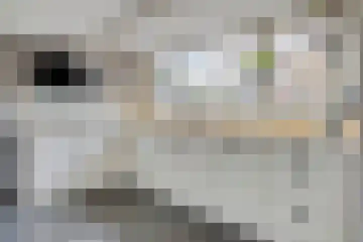 Polstraat 21 Dreumel thumbnail 17
