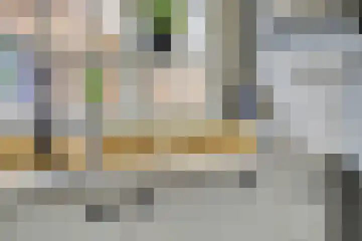 Polstraat 21 Dreumel thumbnail 18