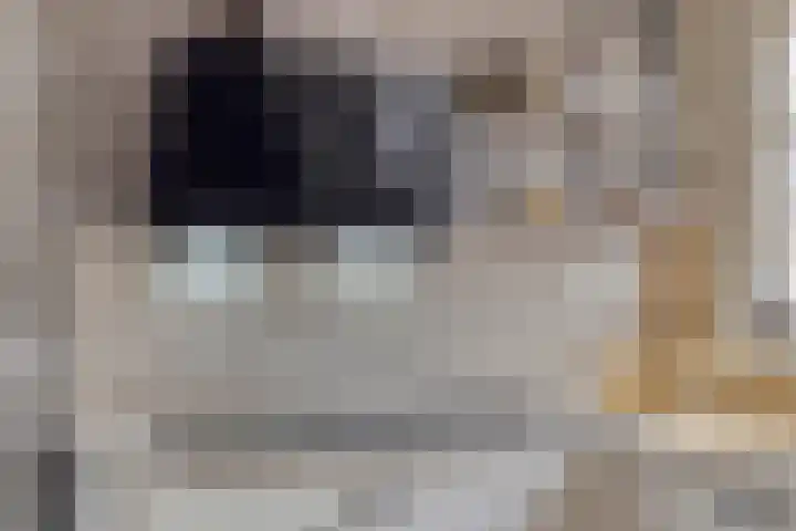 Polstraat 21 Dreumel thumbnail 19