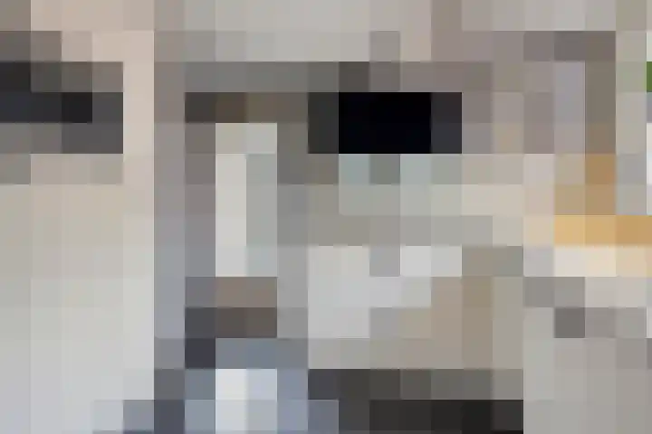 Polstraat 21 Dreumel thumbnail 20