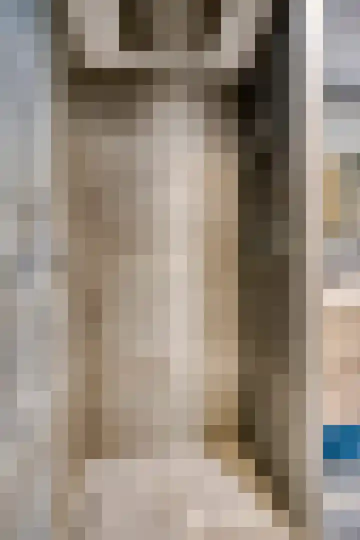 Polstraat 21 Dreumel thumbnail 23