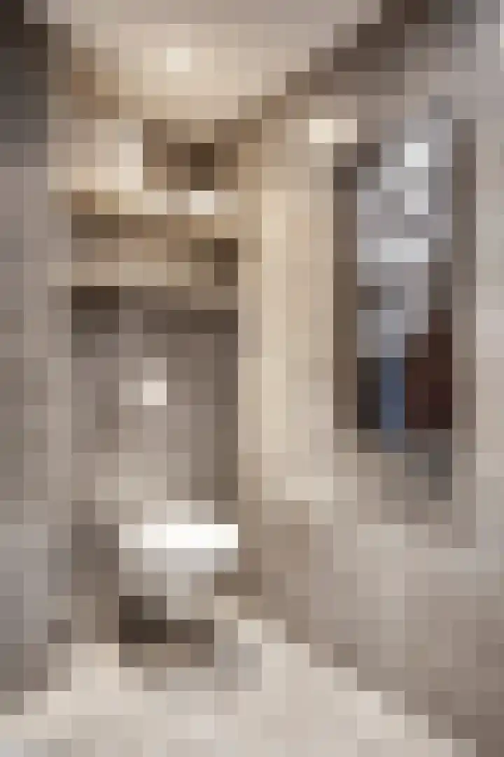 Polstraat 21 Dreumel thumbnail 25