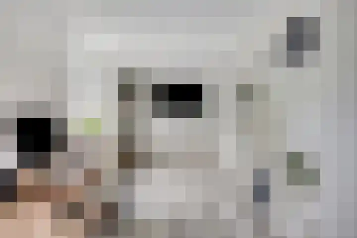 Polstraat 21 Dreumel thumbnail 27