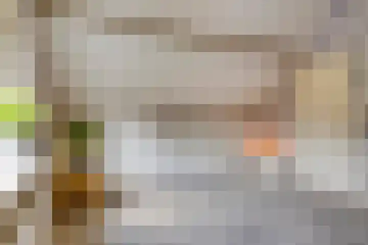 Polstraat 21 Dreumel thumbnail 32