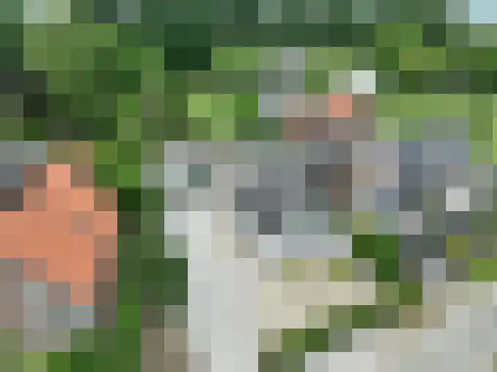 Polstraat 21 Dreumel thumbnail 4