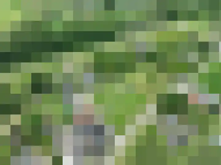 Polstraat 21 Dreumel thumbnail 5