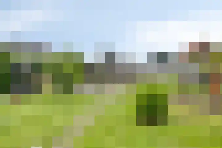 Polstraat 21 Dreumel thumbnail 50