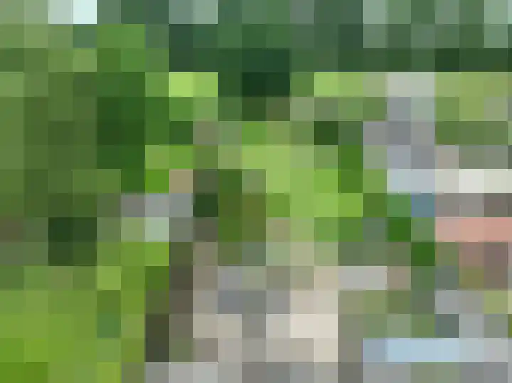 Polstraat 21 Dreumel thumbnail 54