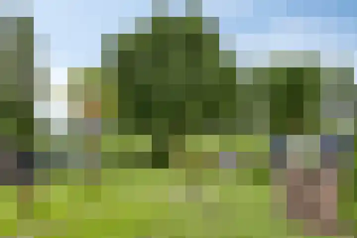 Polstraat 21 Dreumel thumbnail 56