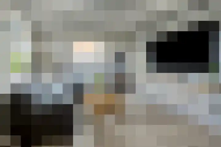 Polstraat 21 Dreumel thumbnail 7
