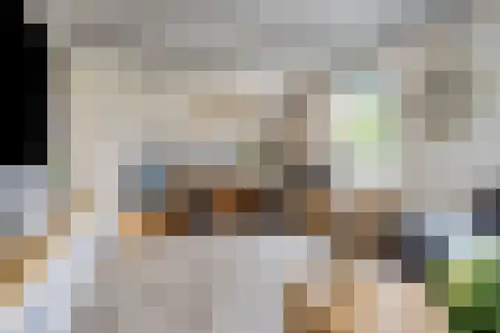 Polstraat 21 Dreumel thumbnail 8