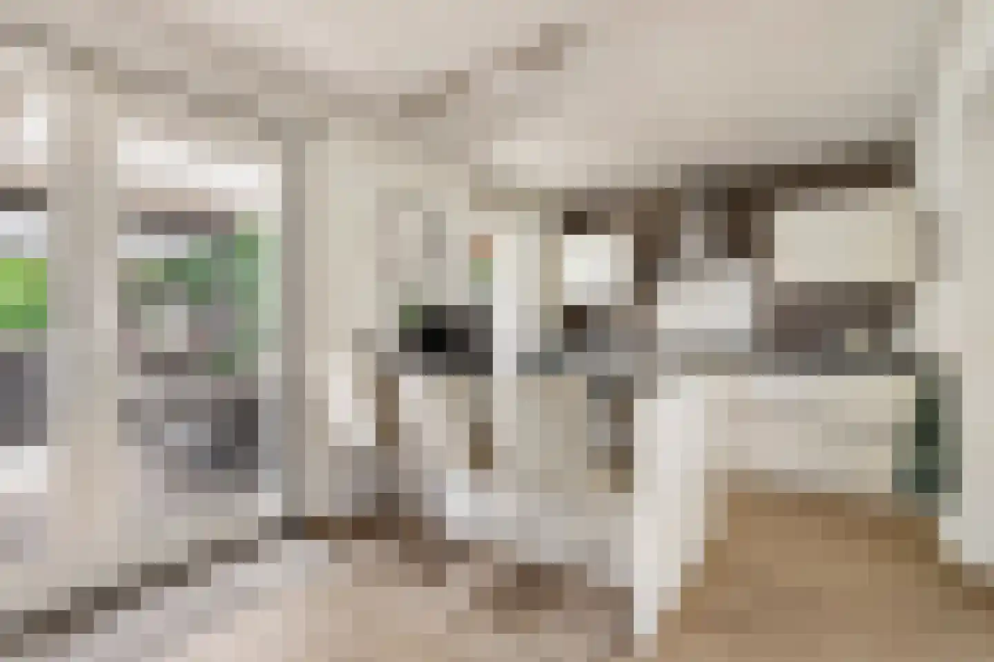 Polstraat 40 Didam thumbnail 10