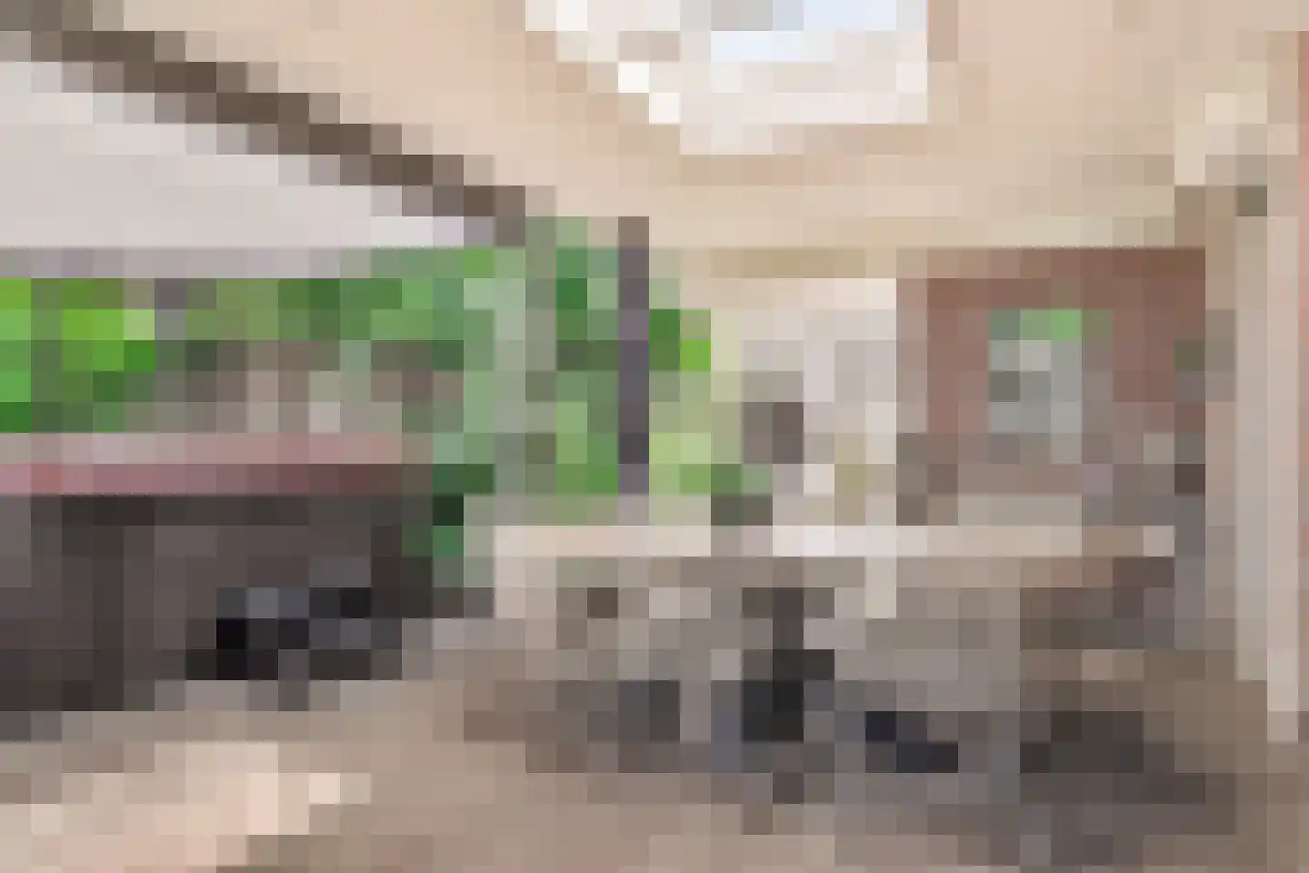 Polstraat 40 Didam thumbnail 13